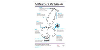 Poster Anatomie eines Stethoskops
