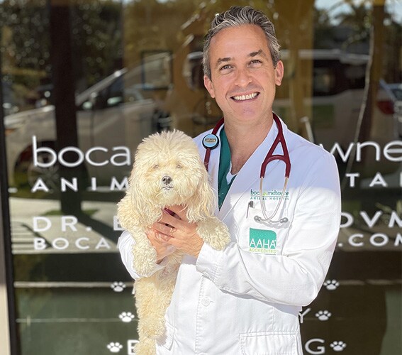 Image of Dr. Boaz Man