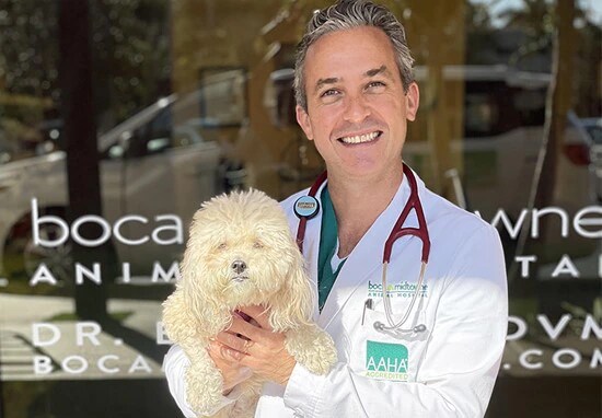 Tierarzt mit Hund in der Tierklinik

